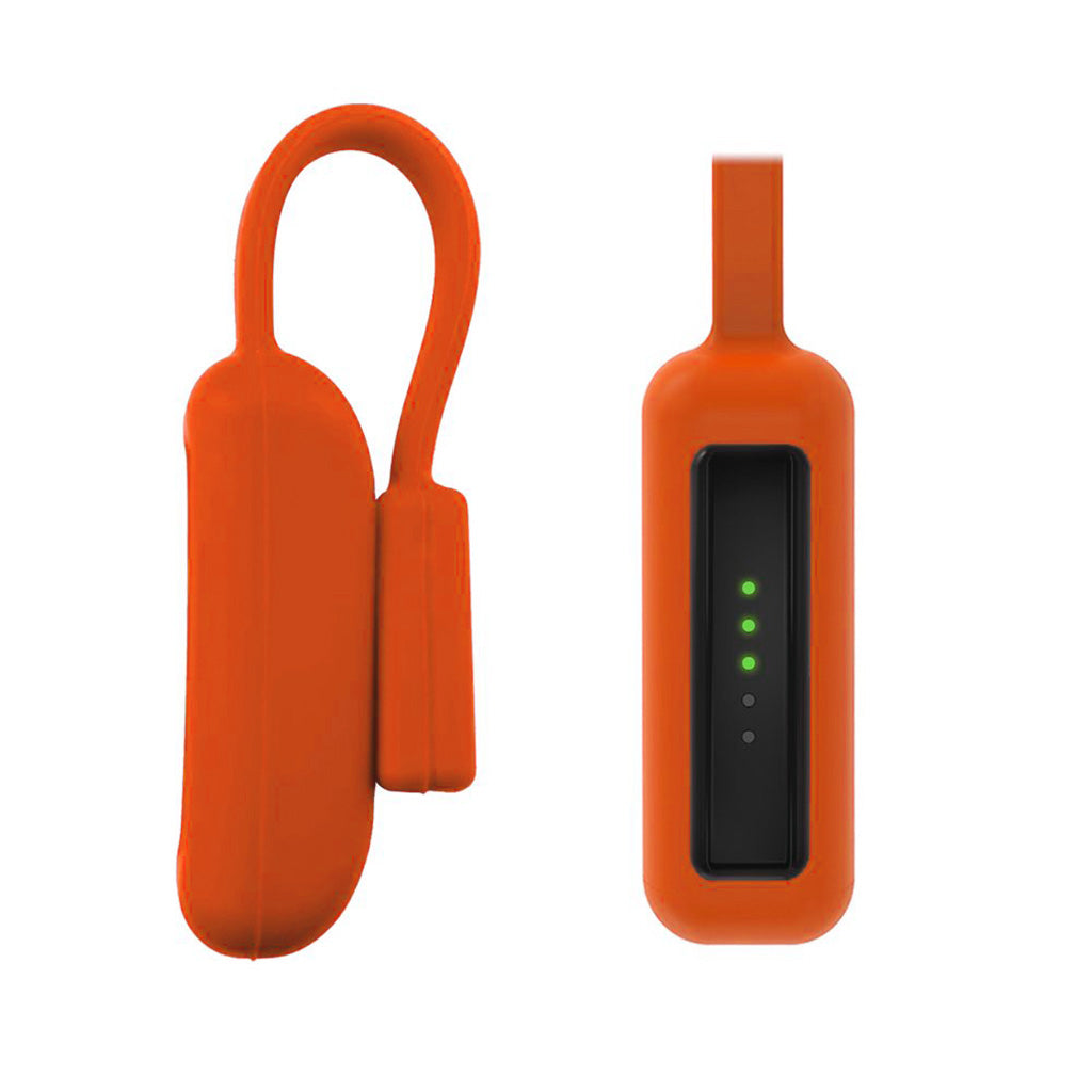 Magnetic Clip for Fitbit Flex 2