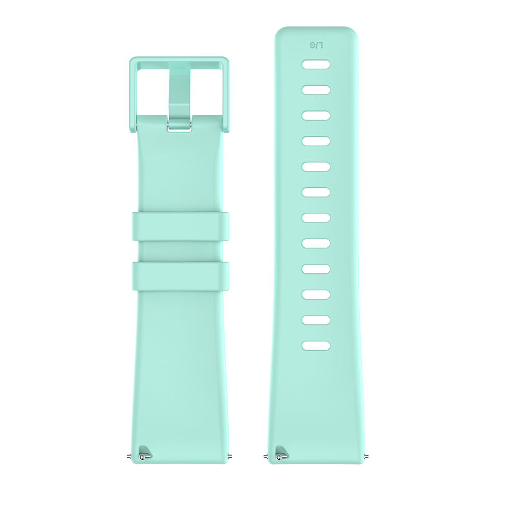 Silicone Strap with Matching Color Buckle for Fitbit Versa & Versa 2
