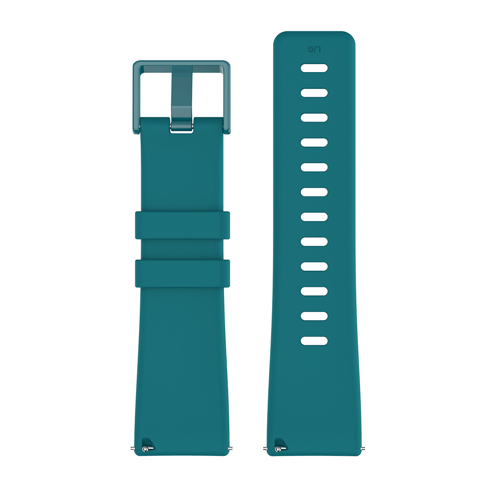 Silicone Strap with Matching Color Buckle for Fitbit Versa & Versa 2