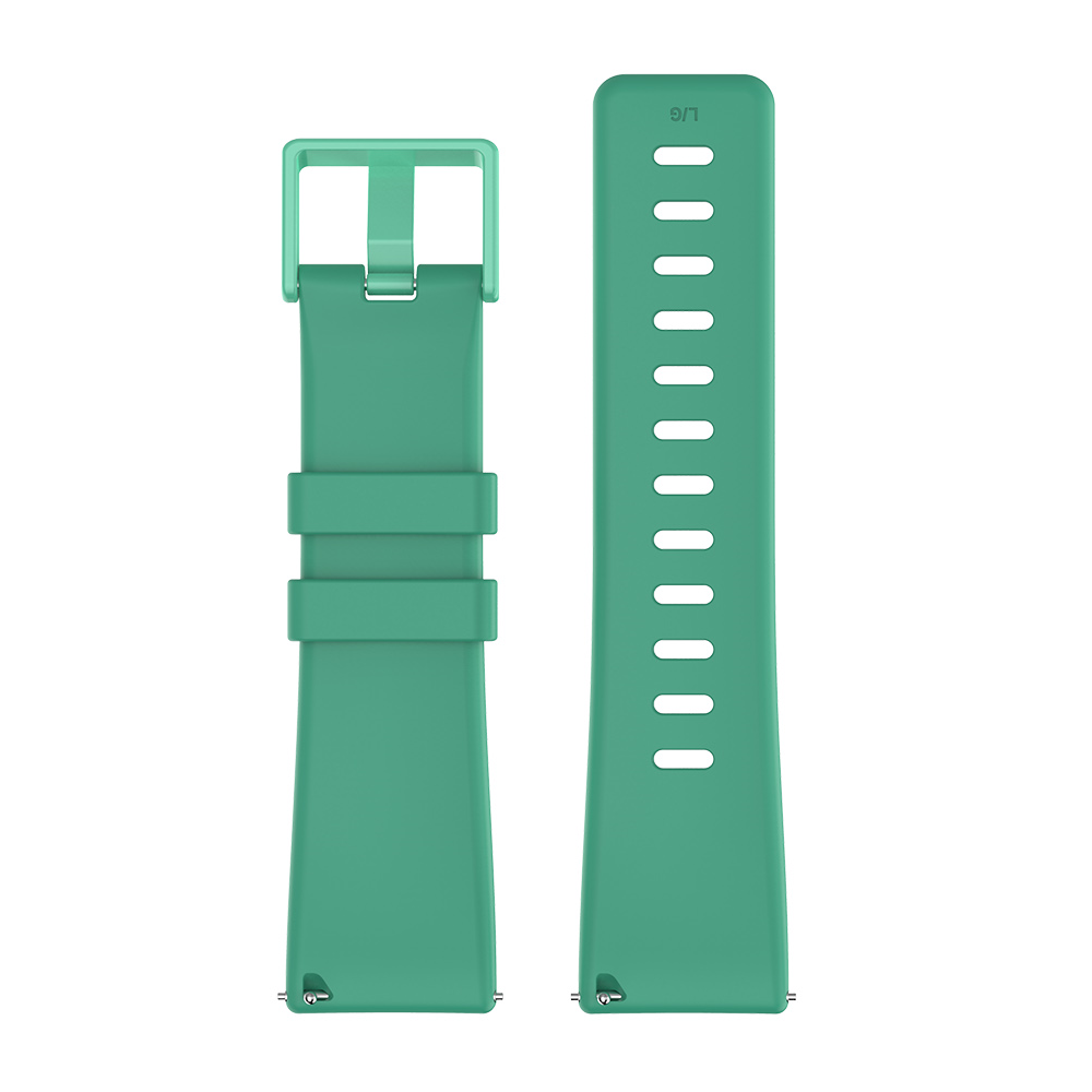 Silicone Strap with Matching Color Buckle for Fitbit Versa & Versa 2
