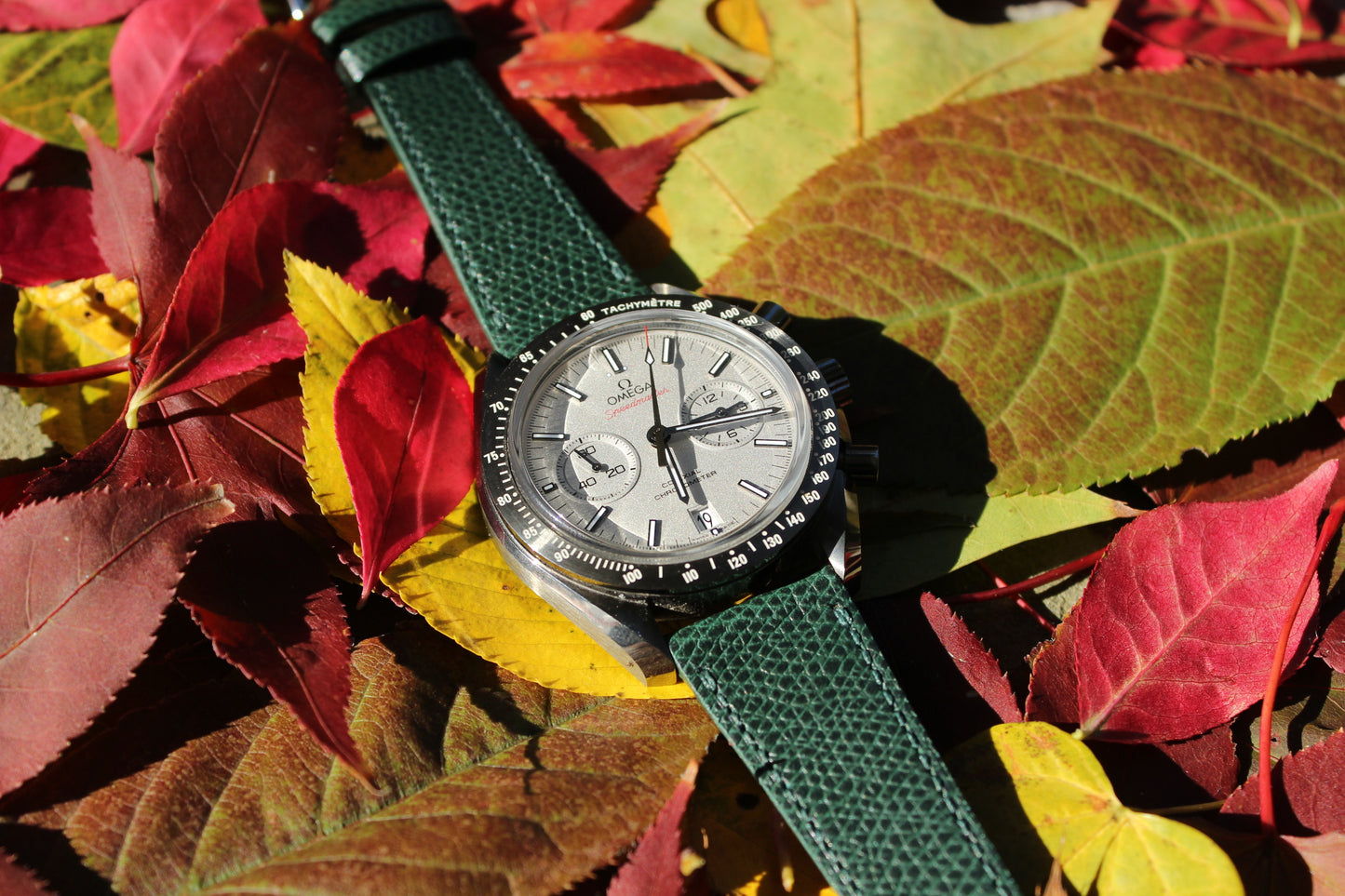 The Valleywood Watch Strap in Green