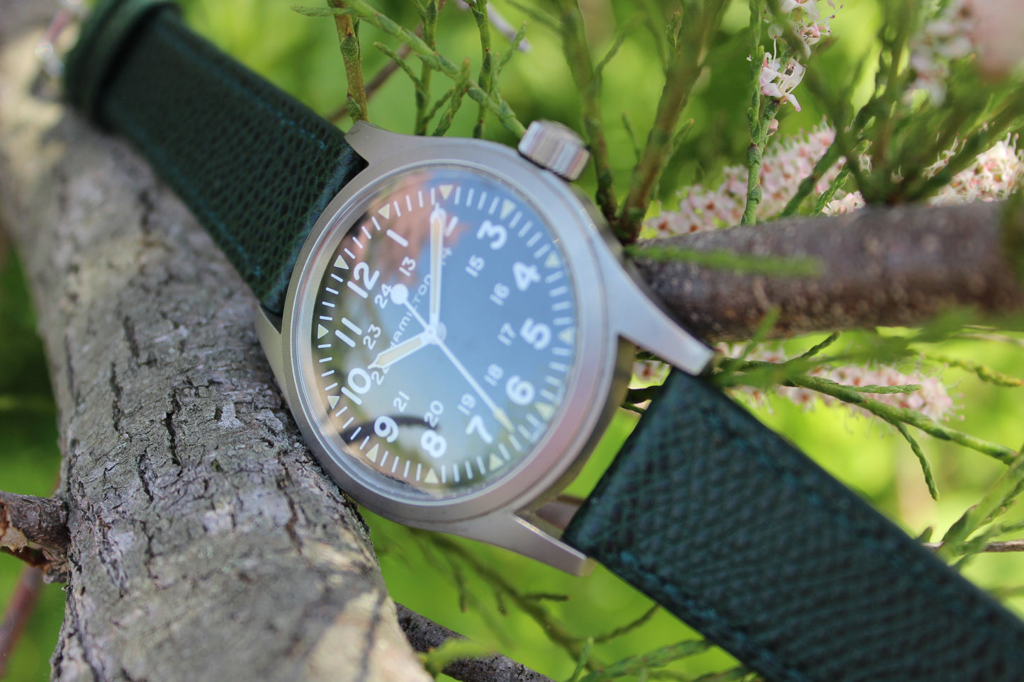 The Valleywood Watch Strap in Green